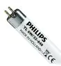 Philips T5 Short 6W - 640 Bianco Freddo | 21cm