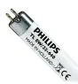 Philips T5 Short 8W - 640 Bianco Freddo | 29cm