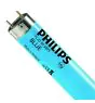 Philips MASTER TL-D 58W - Blu | 150cm