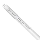 Ledvance Tubo LED T5 Value Short (HF) High Efficiency 7W 770lm - 830 Luce Calda | 52cm - Sostitutiva 13W