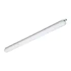 Philips Stagna LED CoreLine WT120C G2 15W 1800lm - 840 Bianco Freddo | 60cm