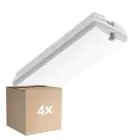 Confezione Multipack 4x Bright Choice Bulkhead LED Bianca 3W 280lm - 830 Luce Calda -  | IP66
