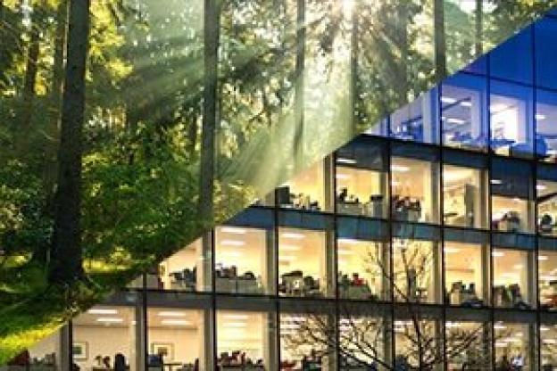 Luce naturale o luce artificiale?